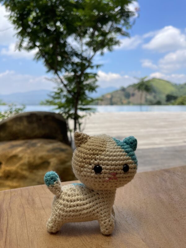 mèo len, lớp học móc len ở Cao Lan hamlet